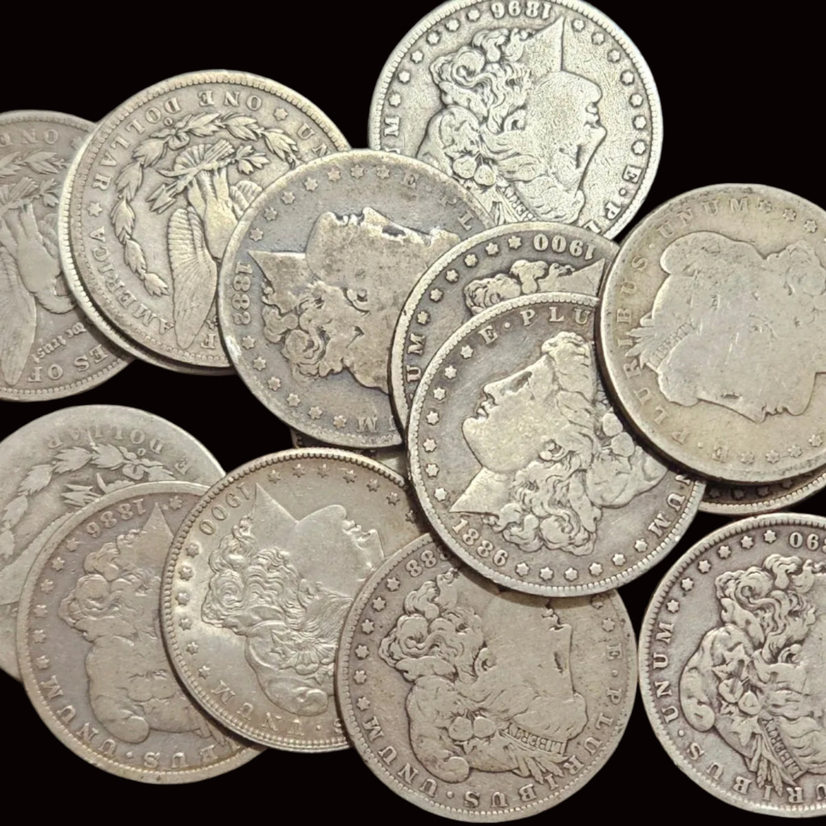 Morgan Silver Dollar – Circulated Random Date