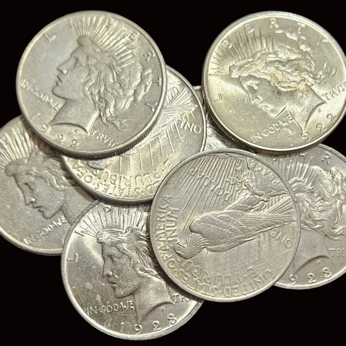 Peace Silver Dollar – Circulated Random Date